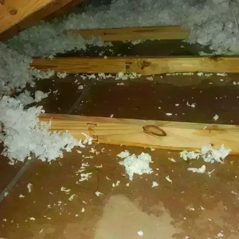 Attic Water Damage in Advance, MO