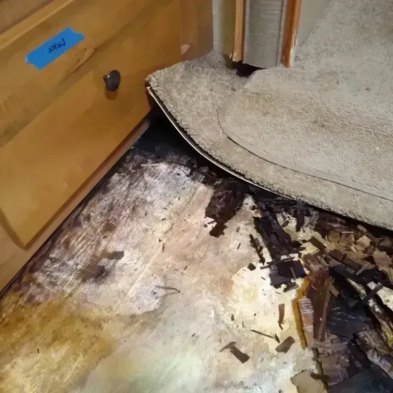 Best Wood Floor Water Damage Service in Advance, MO